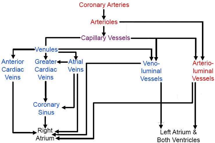 Supply and drainage diagram