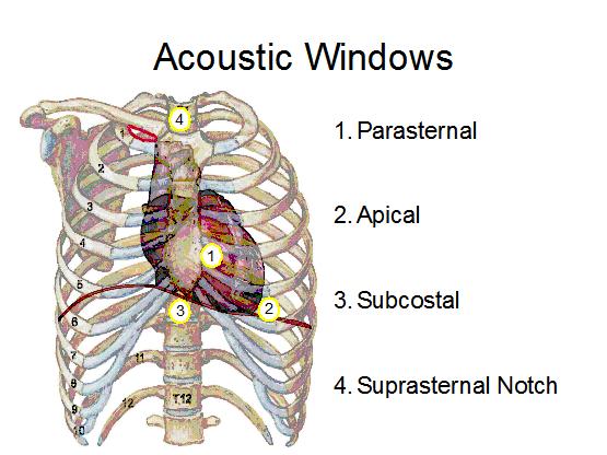 Acoustic Windows