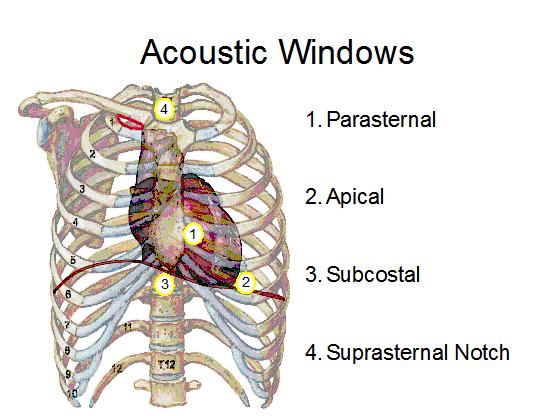 Echocardiography Tutorial What Is Echocardiography 