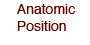 Anatomic Position