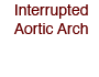 Interrupted Aortic Arch