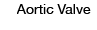 Aortic Valve