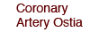 Coronary Artery Ostia