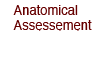 Anatomical Assessment