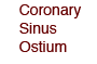 Coronary Sinus Ostium