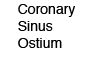 Coronary Sinus Ostium