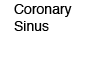 Coronary Sinus