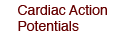 Cardiac Action Potentials