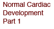 Normal Cardiac Development Part 1