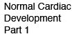 Normal Cardiac Development