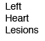 Left Heart Lesions