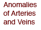 Anomalies of Arteries and Veins