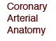 Coronary Arterial Anatomy