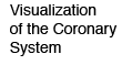 Visualization of the Coronary System