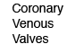 Cardiac Venous Valves
