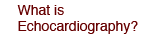 What is Echocardiography?