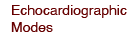 Echocardiographic Modes