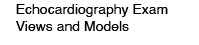 Echocardiography Exam Views and Models