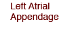 Left Atrial Appendage