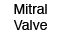 Mitral Valve