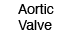 Aortic Valve