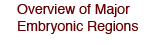 Overview of Major Embryonic Regions