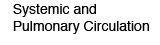 Systemic and Pulmonary Circulation