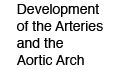 Development of the Arteries and the Aortic Arch