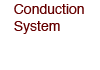 Conduction System