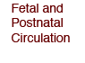 Fetal and Postnatal Circulation