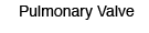 Pulmonary Valve