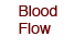 Blood Flow