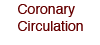 Coronary Circulation