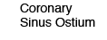 Coronary Sinus Ostium