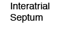 Interatrial Septum
