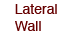 Lateral Wall