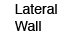 Lateral Wall