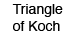 Triangle of Koch