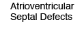 Atrioventricular Septal Defects