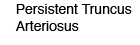 Persistent Truncus Arteriosus
