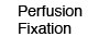 Perfusion Fixation