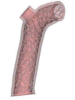 Provisional 3D Model