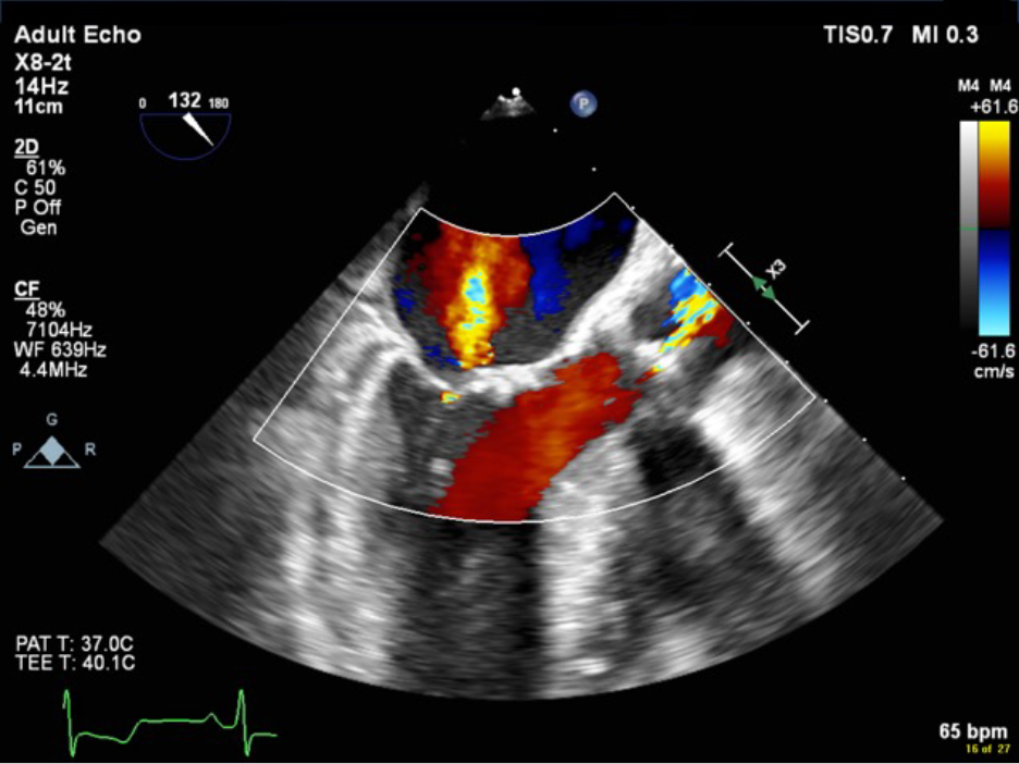 Figure 7