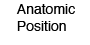 Anatomic Position