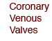 Cardiac Venous Valves