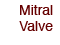 Mitral Valve