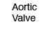 Aortic Valve